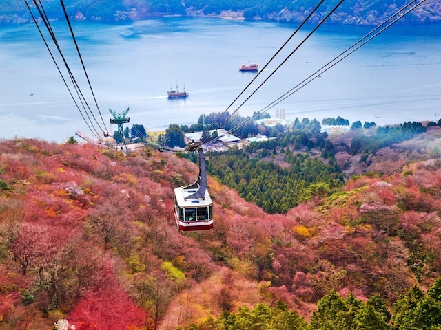 [Small Groups]Tokyo Mt. Fuji Hakone Shrine, Owakudani, Lake Yamanakako Day Tour