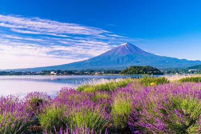 Travelers enjoying lakeside views and photography at Lake Kawaguchiko during a Mount Fuji tour