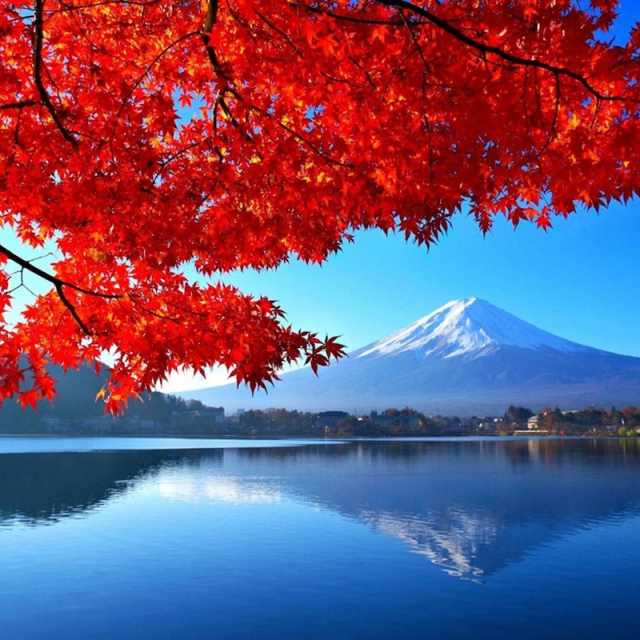 Lake Kawaguchiko with clear Mount Fuji views on a Mount Fuji tour from Tokyo