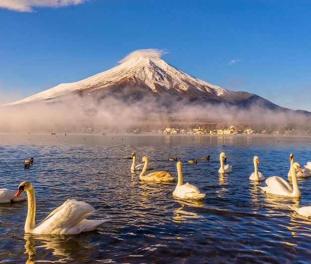 Lake Yamanakako with wide-open shoreline and Mount Fuji views on a Mount Fuji tour from Tokyo