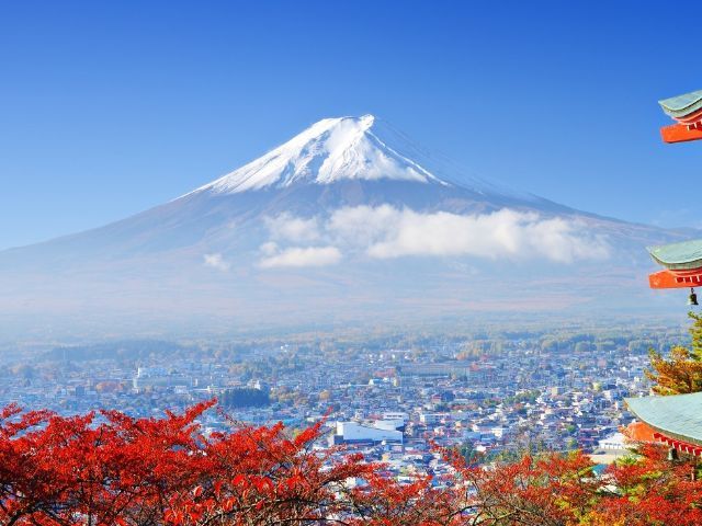 Tokyo Mt. Fuji Hakone Shrine, Owakudani, Lake Yamanakako Day Tour