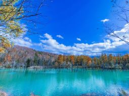 SPK1-12423 scenics 2