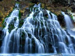 SPK1-12423 scenics 3