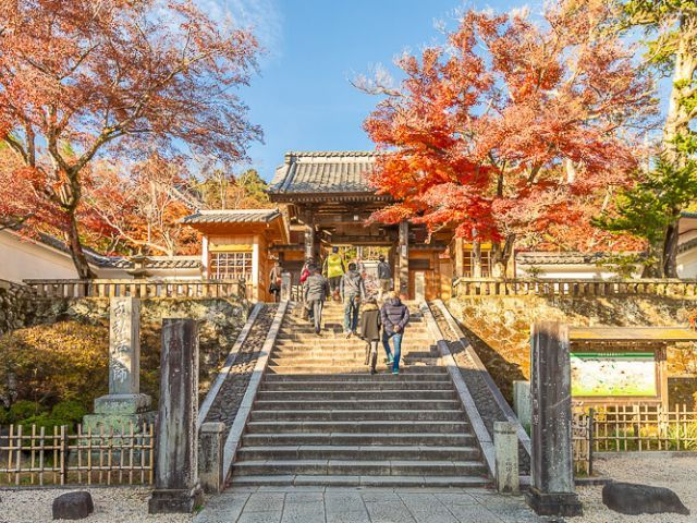 Tokyo: Izu Shiyohana Shuji Temple Stroll Day Trip（Seasonal Itinerary for June）
