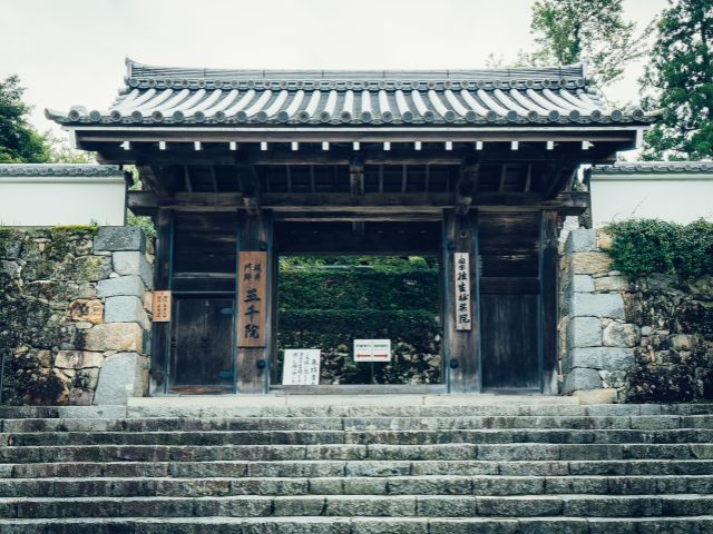 Kyoto Sansen-in Arashiyama Train 1 Day Tour from Osaka or Kyoto