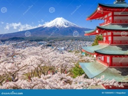TYO1-12415 scenics 6